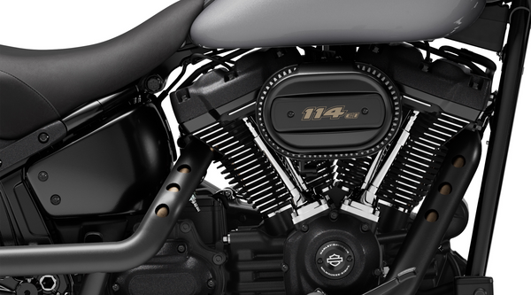 2018+ Softail Stainless Blackout Bolt Kit